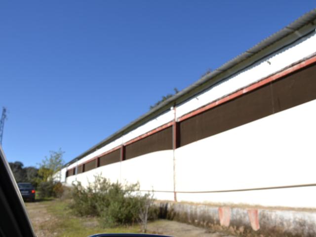 Terreno en venta en Segura De León, Extremadura