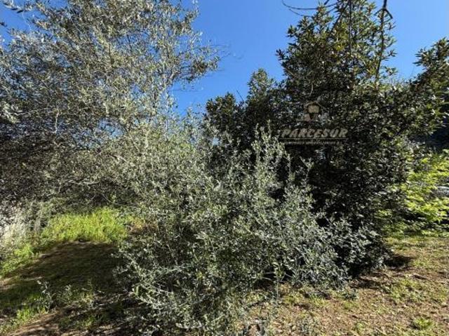 Casa en venta en Almodóvar Del Río, Andalucía