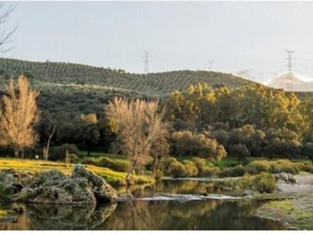 Local Comercial en venta en Almadén De La Plata, Andalucía