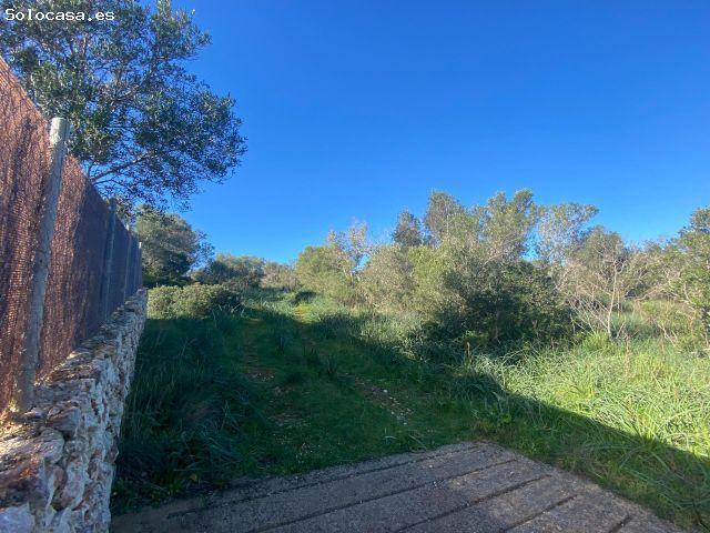 Local Comercial en venta en Pla de Mallorca, Baleares