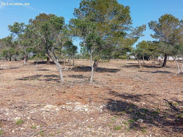 Local Comercial en venta en Baix Ebre, Catalunya