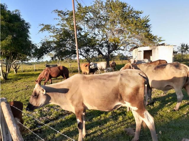 Propiedad en venta en Tacarigua De Brion., Miranda