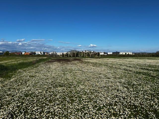 Terreno en venta en Moraleja, Extremadura