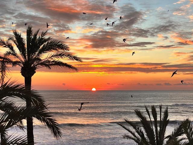 Apartamento en venta en Vinaròs, Dones de la Mar
