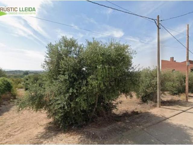 Local Comercial en venta en Garrigues, Catalunya