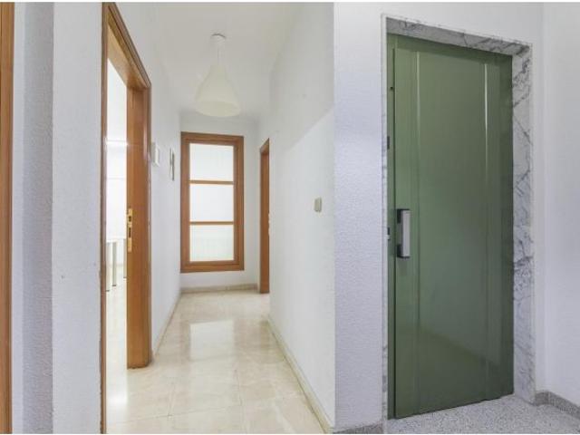 Local Comercial en alquiler en Dones de les Palmes, el Baix Vinalopó