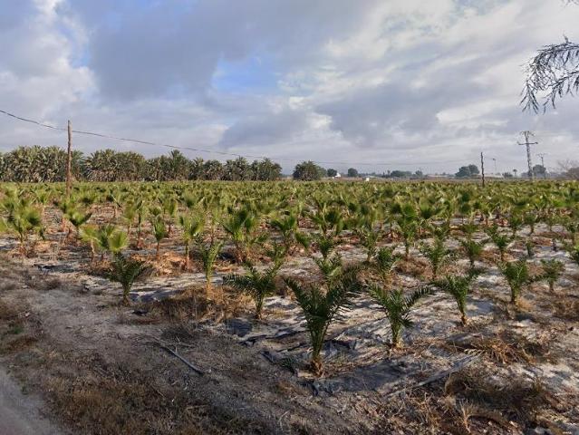Terreno en venta en la Foia, el Baix Vinalopó