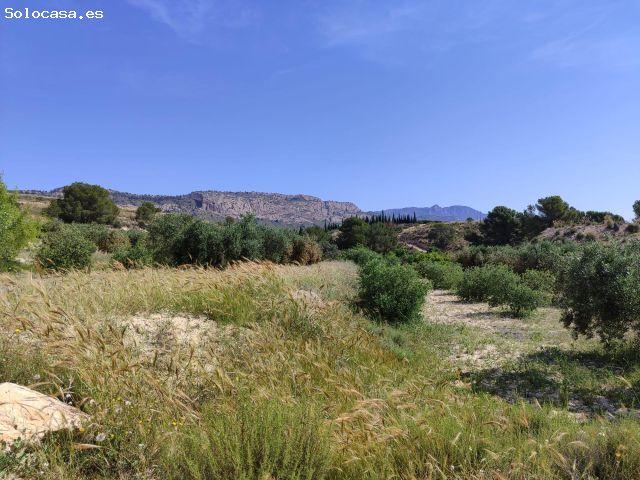 Local Comercial en venta en Yéchar, Río Mula