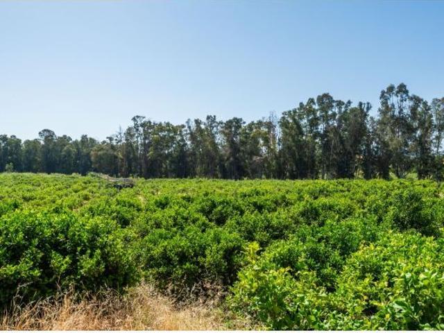 Local Comercial en venta en Zalea, Valle del Guadalhorce