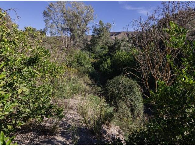 Local Comercial en venta en Comarca del Valle de Lecrín, Andalucía