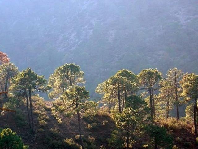 Casa en venta en Benatae, Andalucía