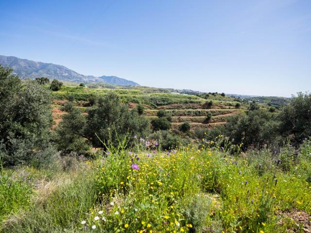 Terreno en venta en Mijas
