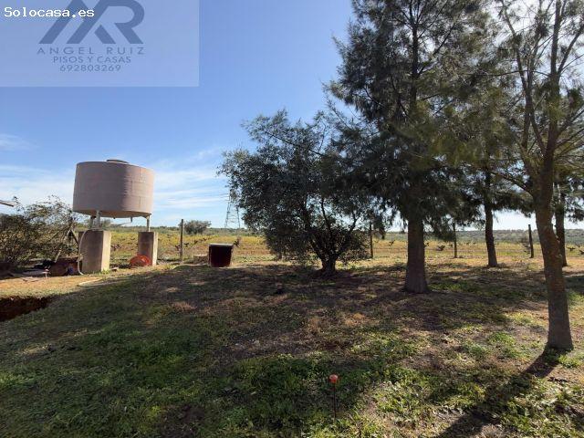 Casa en venta en La Zarza, Extremadura