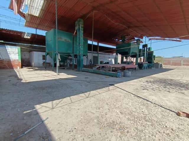 Oportunidad Única: Local Industrial En Catacaos ¡Ideal Para Tu Negocio tguerrero