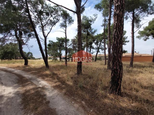 Terreno en venta en Sanchidrián, Castilla y León