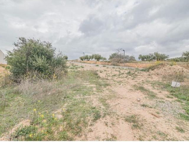 Local Comercial en venta en Peligros, Monteluz