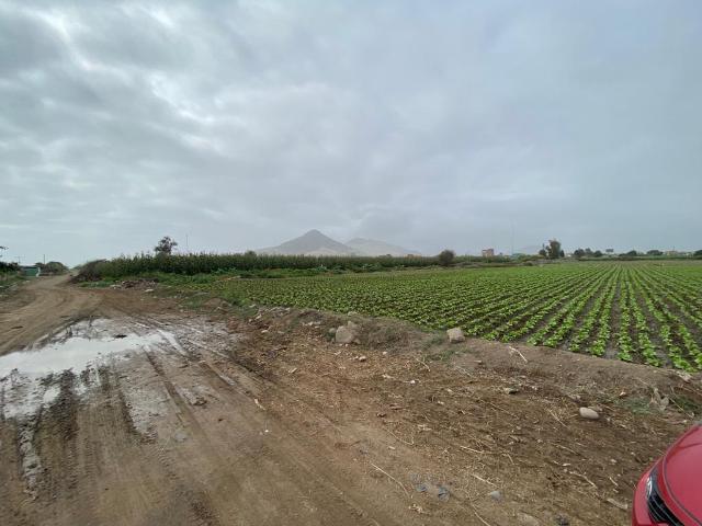 Terreno venta en Aucallama, Lima Metropolitana