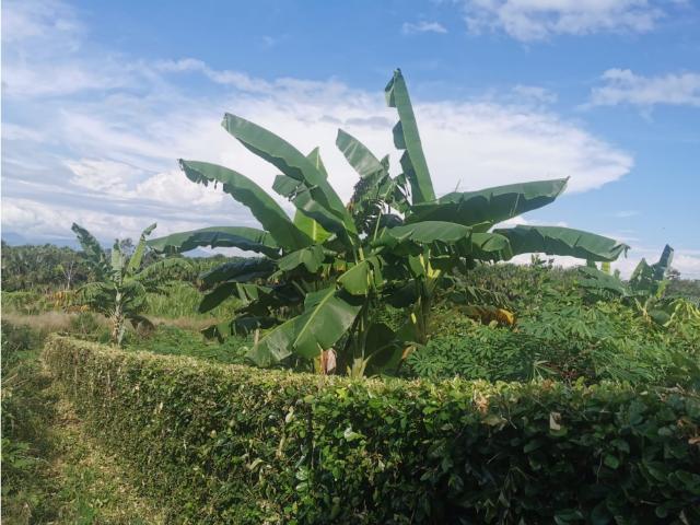 Terreno venta en San Martin