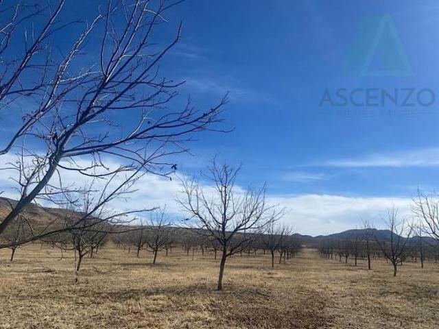 Rancho en venta en Aldama, Chihuahua