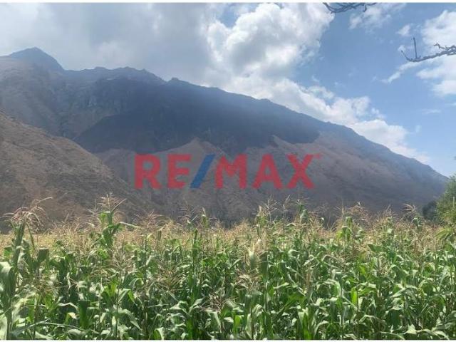 Terreno venta en Tanccac, Ollantaytambo