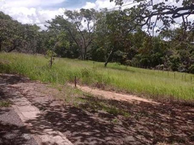 Terreno venda em Santa Filomena, Contagem