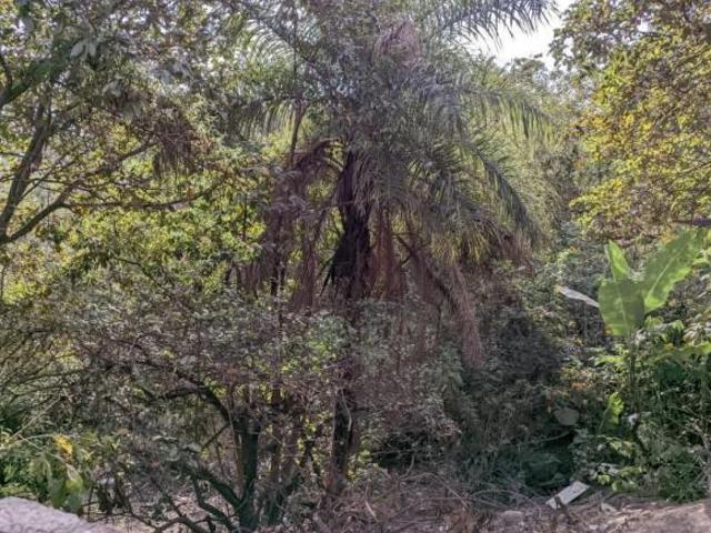 Sítio e chácara venda em Regional Citrolândia, Betim
