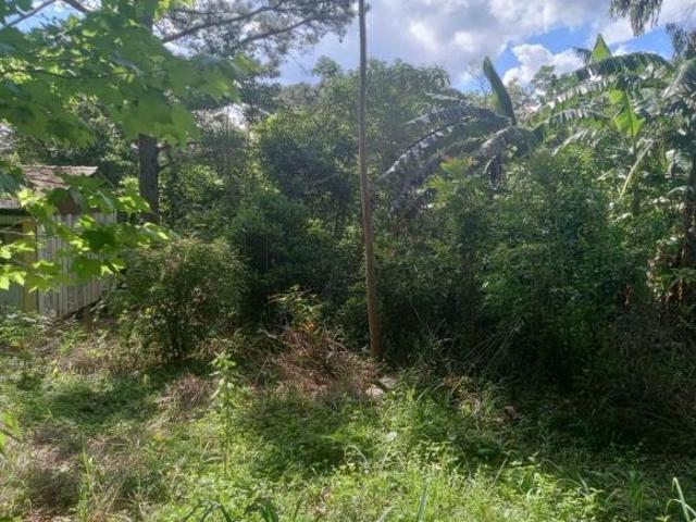 Sítio e chácara venda em Condomínio José Bonifácio, São Francisco de Paula