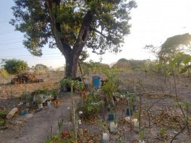 Casa venda em Vargem das Flores, Contagem