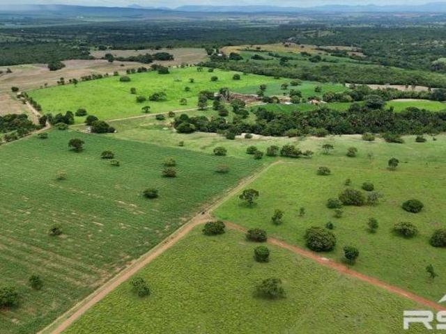 Sítio e chácara venda em Região Geográfica Imediata de Águas Lindas de Goiás, Região Integrada de Desenvolvimento do Distrito Federal e Entorno