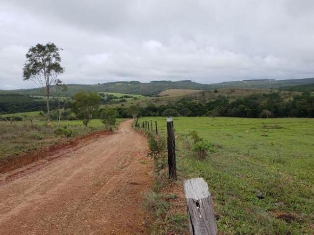 Sítio e chácara venda em Região Geográfica Imediata do Distrito Federal, Região Integrada de Desenvolvimento do Distrito Federal e Entorno