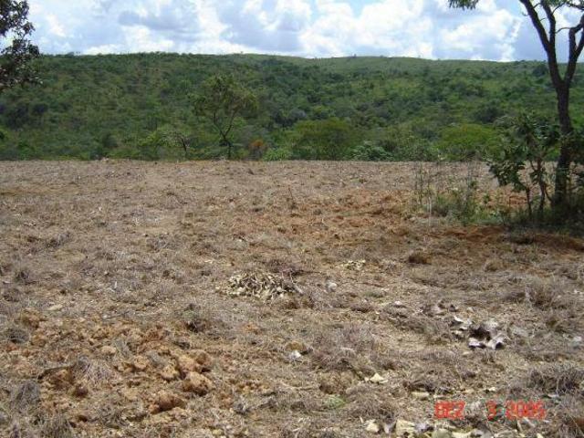 Sítio e chácara venda em Região Geográfica Imediata de Águas Lindas de Goiás, Região Integrada de Desenvolvimento do Distrito Federal e Entorno