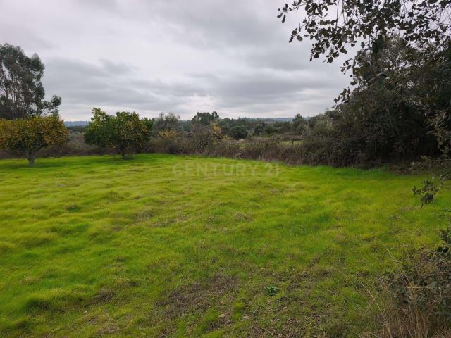 Terreno venda em Castelo Branco, Aldeia Nova Do Cabo