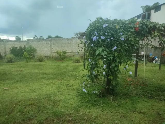 Casa venda em Região Geográfica Imediata do Distrito Federal, Região Integrada de Desenvolvimento do Distrito Federal e Entorno