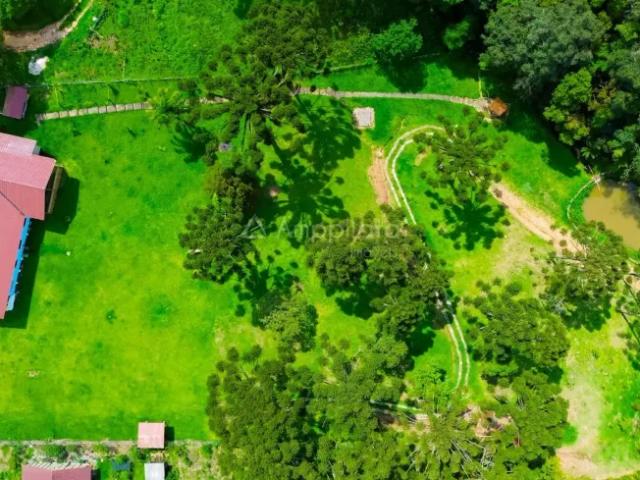 Fazenda venda em Região Geográfica Imediata de Curitiba, Região Metropolitana de Curitiba