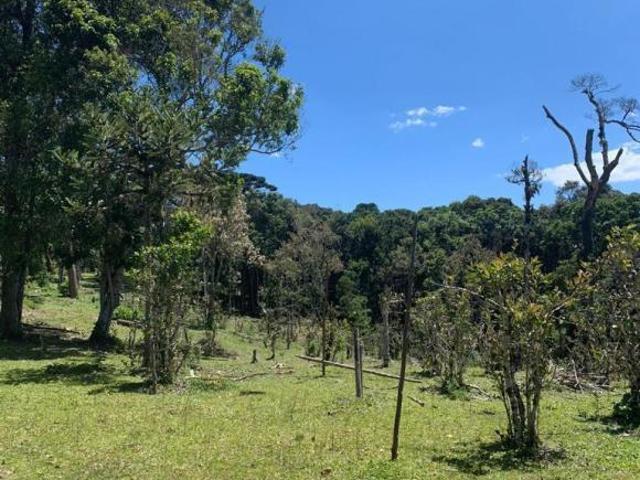 Sítio e chácara venda em Região Geográfica Imediata de Curitiba, Região Metropolitana de Curitiba