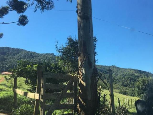Sítio e chácara venda em Região Geográfica Imediata de Juiz de Fora, Bocaina de Minas