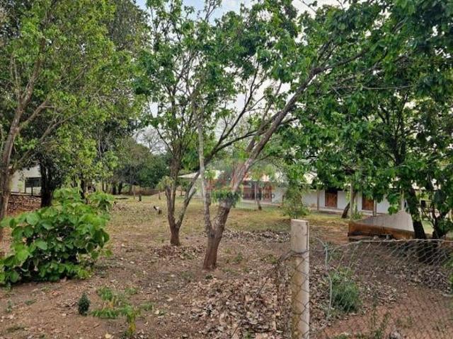 Sítio e chácara venda em São Pedro