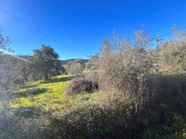 Terreno venda em Loulé, Faro