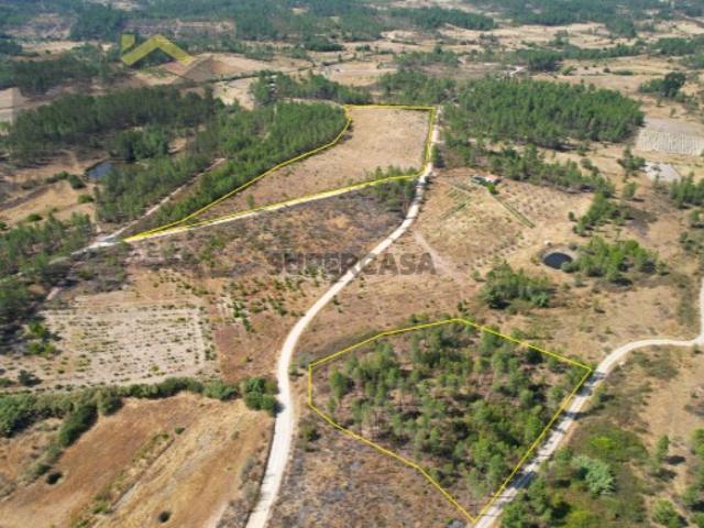 Terreno venda em Castelo Branco