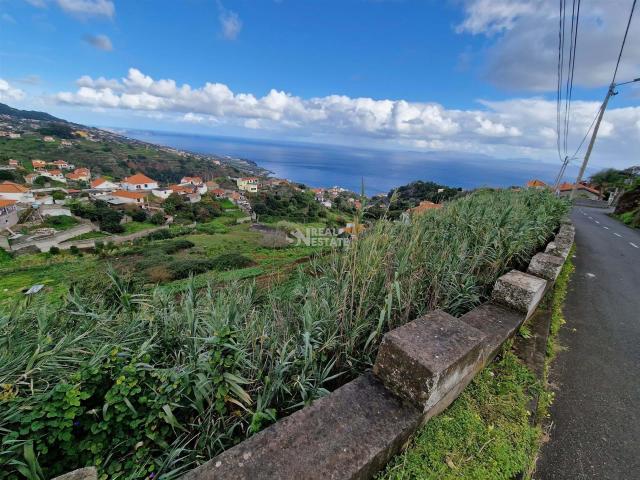 Vivenda venda em Santa Cruz