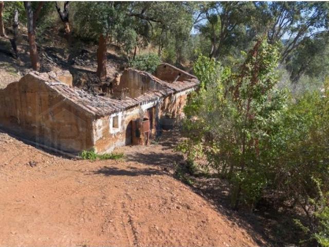 Terreno venda em Monchique, Faro