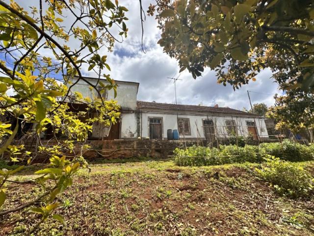 Terreno venda em Santa Cruz, Ilha Da Madeira