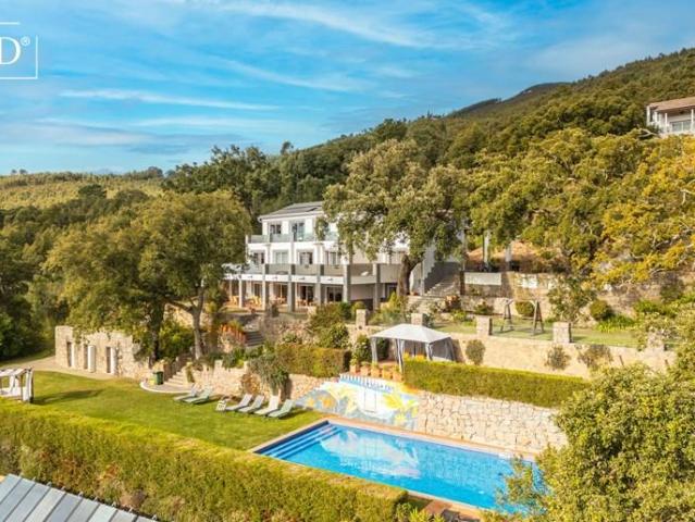 Loja venda em Ceiceira, Monchique