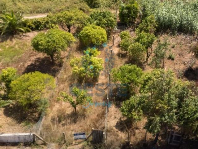 Terreno venda em Estorninho, Bombarral
