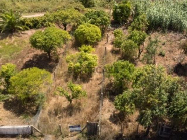 Terreno venda em Estorninho, Bombarral