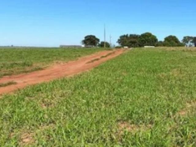 Sítio e chácara venda em Região Geográfica Imediata de Londrina, Guaraci