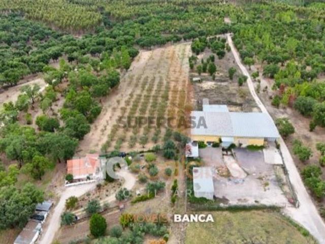 Armazém venda em Chamusca, Santarém