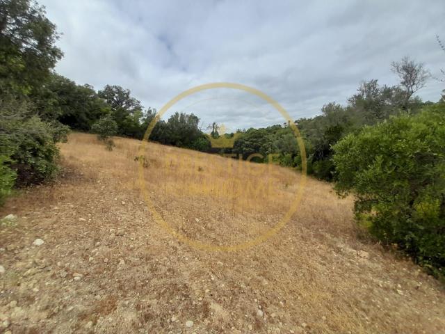 Terreno venda em Varejota, Loulé