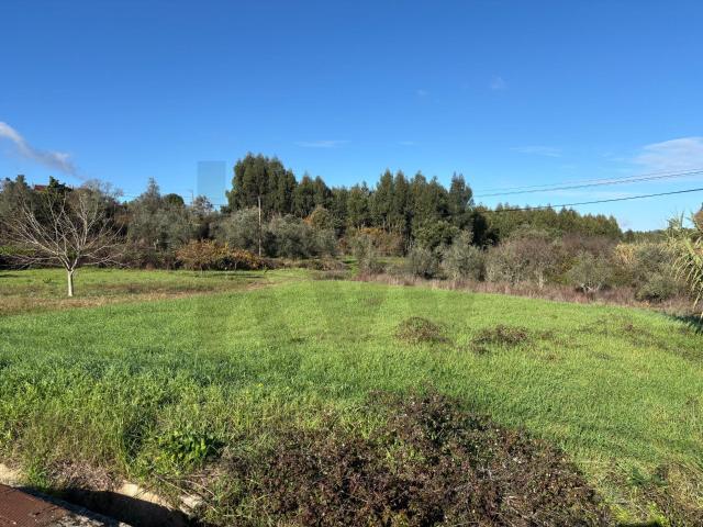 Terreno venda em Tomar, Santarém