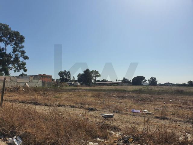 Terreno venda em Carodes, Montijo